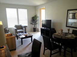 Living room combined with kitchen corner.