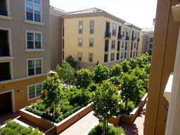 View from a balcony.