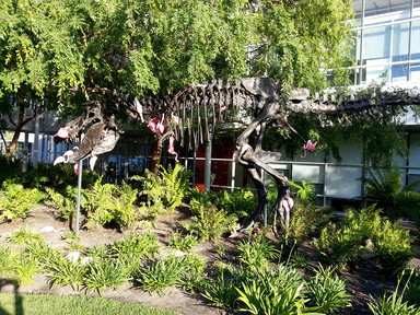 T-rex skeleton with a bunch of hanging flamingos on it in the center of Google campus, because why the hell not?