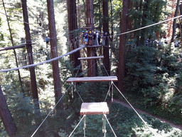 Ropes course. This was one of hardest tracks where two of us were standing against each other and walking across.