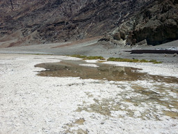 The lowest point of Death valley 86 m (282 ft.) below sea level actually contains a small pond of salty water.