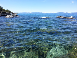 Water in Lake Tahoe is very clear.