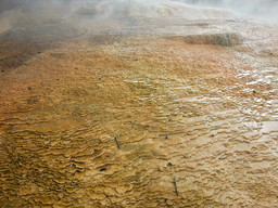 Upper Terraces of Mammoth Hot Springs in Yellowstone National Park.