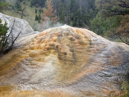 Yellowstone National Park.