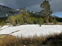 East entrance to Yosemite National Park.