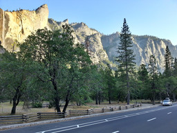 Down in the valley of Yosemite National Park.