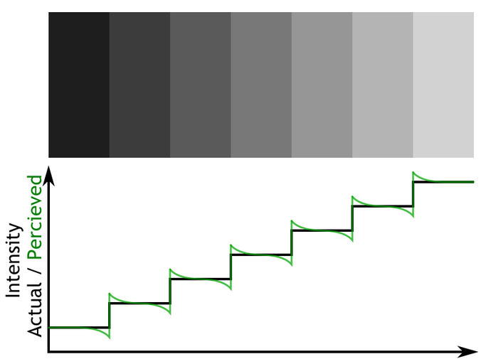 Mach Bands illusion. Each rectangle has solid color but it is perceived as a gradient because the edges are enhanced by human visual system.