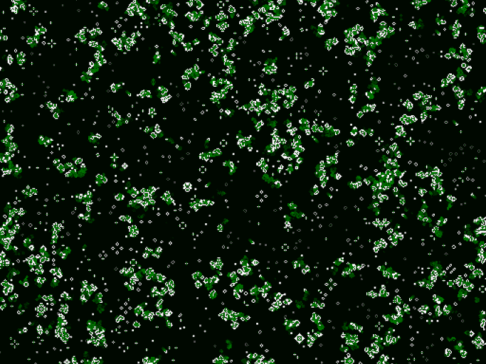 Print-screen of the finished program of Conway's game of life.